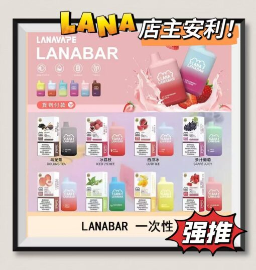 LANA 5000 PUFFS 抛棄式電子煙 一次性可充電電子煙 台灣現貨