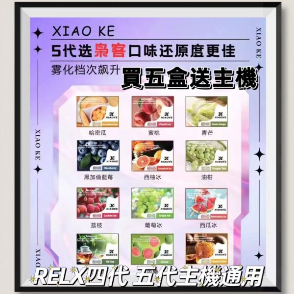 XIAOKE煙彈 五代菸彈 通用悅刻 RELX四代五代主機 買五盒送主機 台灣現貨