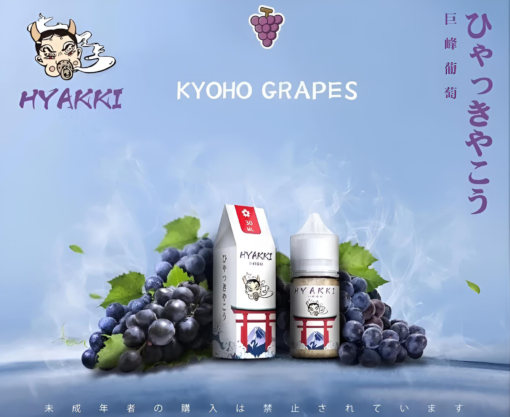 【小煙油】HYAKKI（哈亞齊）30ML/35mg 日系進口煙油 台灣現貨 711到付：圖片 10