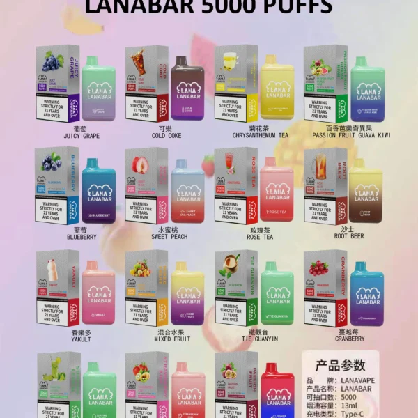 🔥台灣現貨🔥LANA BAR 5000口大容量一次性電子煙(可充電)