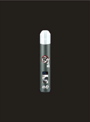evo主機