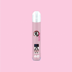 evo粉色主機一代