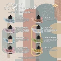 MORANDI 莫蘭迪|電子煙煙油 30ML|經典菸草 雪茄風味|無涼